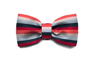 ZeeDog Oregon Bow Tie 
